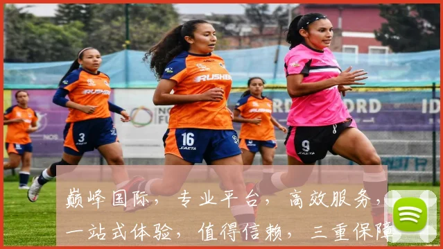 巅峰国际，专业平台，高效服务，一站式体验，值得信赖，三重保障，尽享便捷。